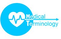 Medical Terminology Education